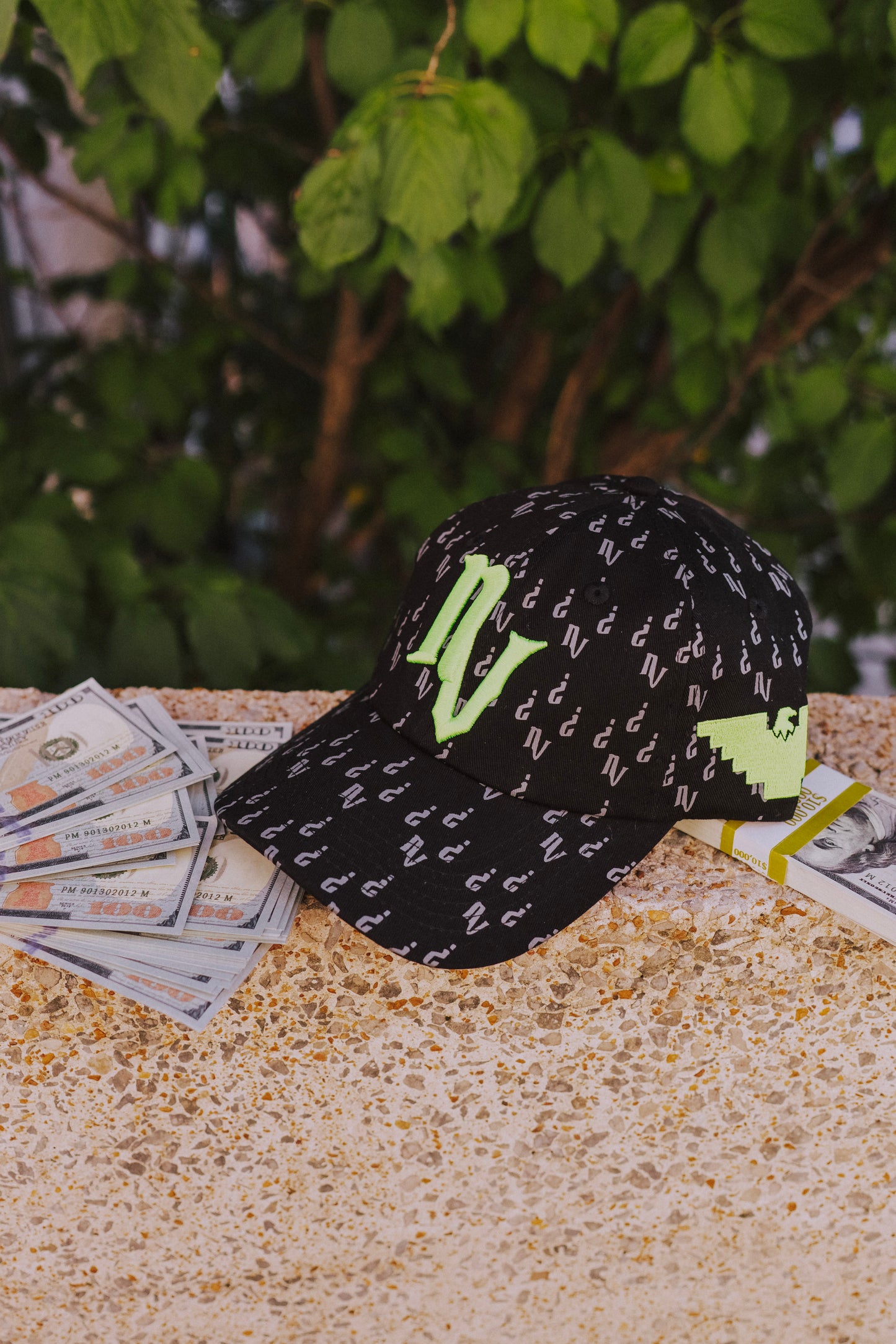 NV Monogram Baseball Cap
