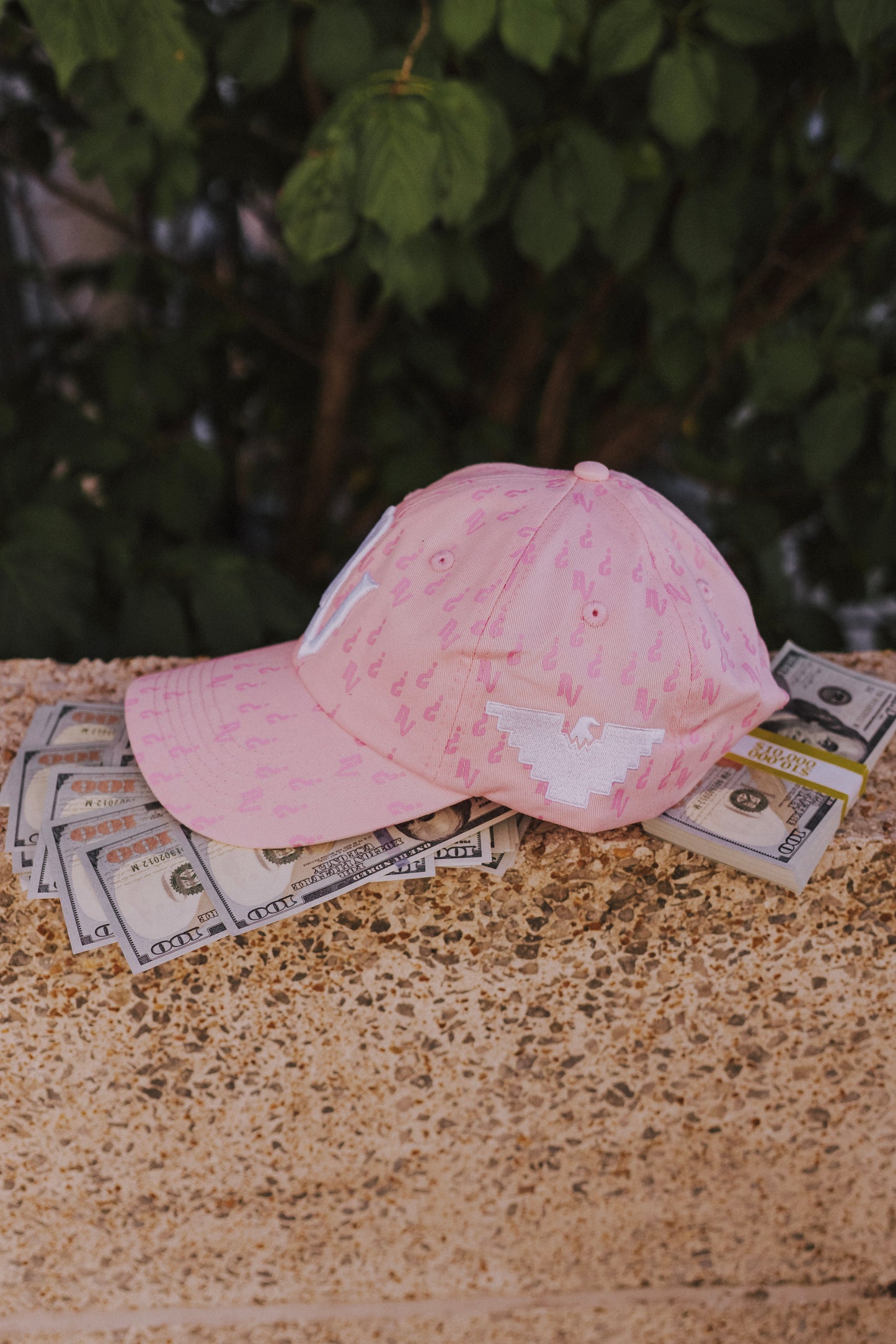 NV Monogram Baseball Cap