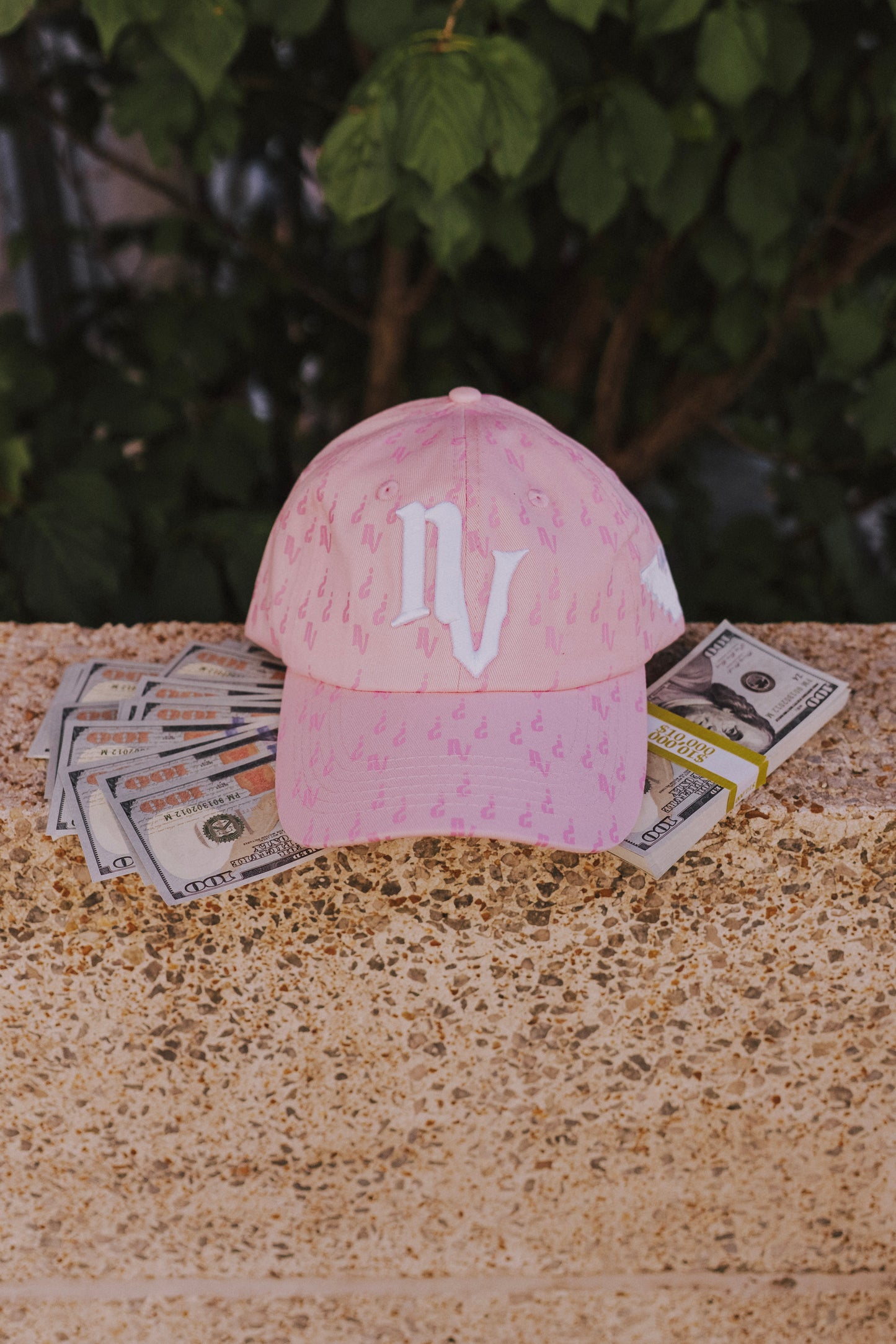 NV Monogram Baseball Cap