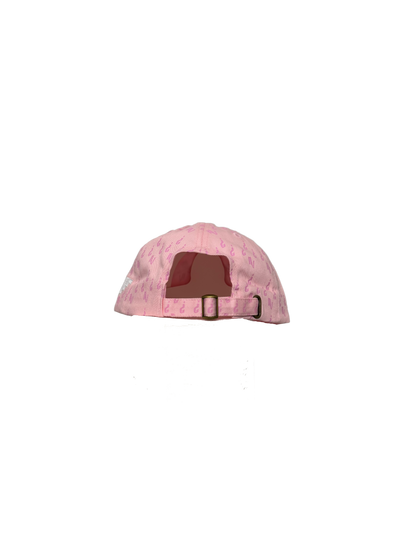 NV Monogram Baseball Cap